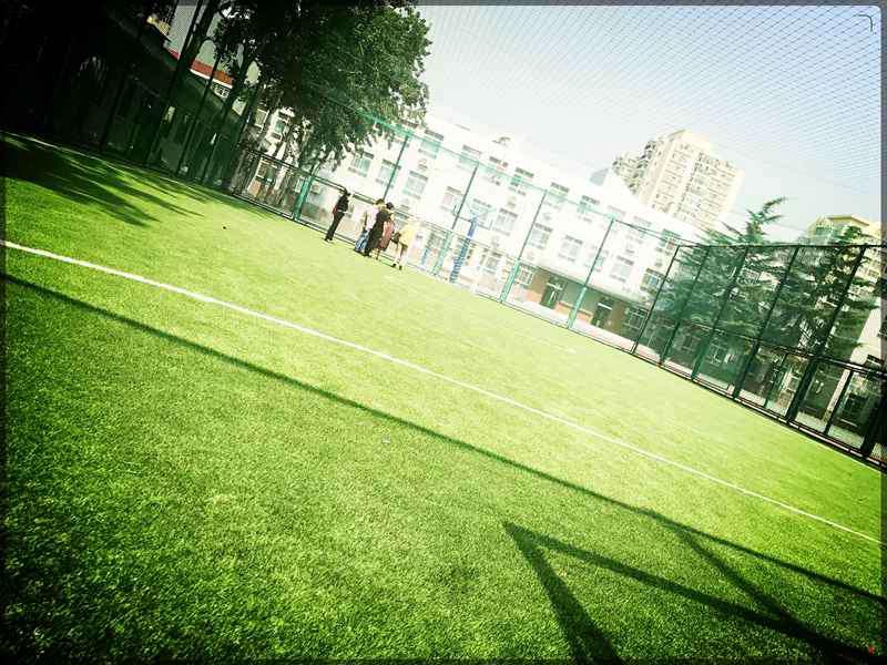 學校網式足球場